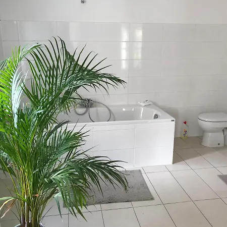 In Velden 91235 Homestay